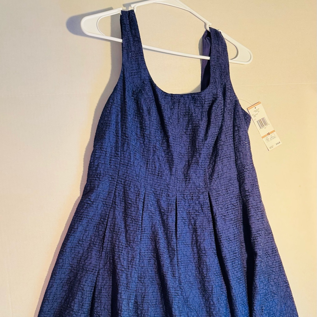 Nine West Woman’s Business Navy Blue Dress Size 12 Nwt Sraps